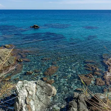 Villa Erbalunga 에르발룽가